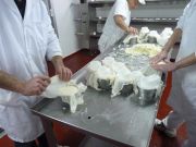 elaborando_sto_andre_027