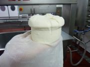 elaborando_sto_andre_031