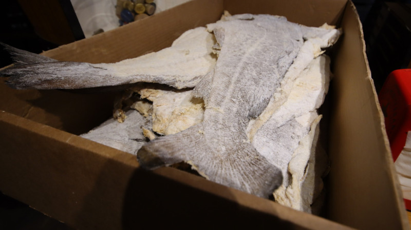 2026_02_raices_ibericas_1024_020