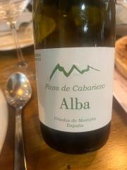 El Respiro de Potes Alba
