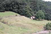 IMG_5905