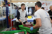 2018_05_ronqueo_1280_153