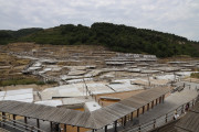 2026_06_salina_anana_006