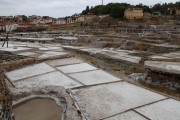2026_06_salina_anana_024