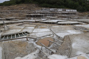 2026_06_salina_anana_037