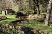 2020_02_selores_mulecarajonero_007