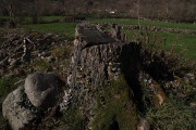 2020_02_selores_mulecarajonero_038
