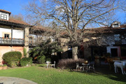 2020_02_selores_mulecarajonero_025