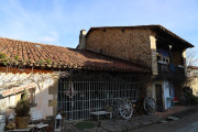 2020_02_selores_mulecarajonero_033