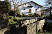 2020_02_selores_mulecarajonero_037