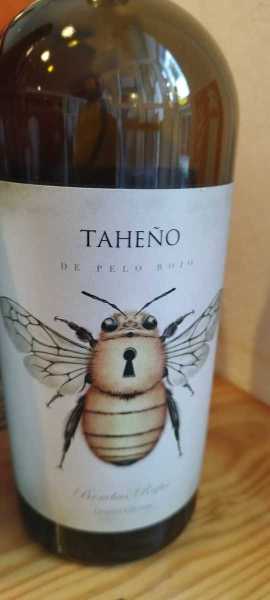 WhatsApp-Image-2026-04-17-at-20.20.26-2