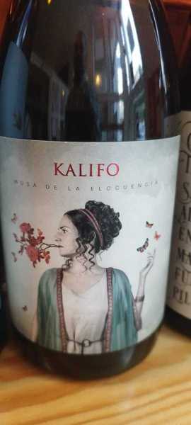 WhatsApp-Image-2026-04-17-at-20.20.27