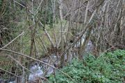 IMG_1028