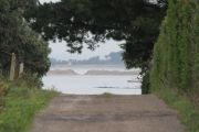 IMG_8890