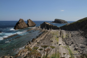 arnia_urros_004