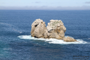 arnia_urros_016