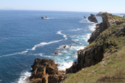 arnia_urros_017