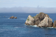 arnia_urros_021
