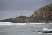 cuchia_suances_023