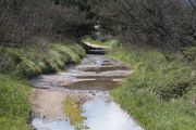 2012_cuca_027