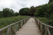 2012_cuca_004