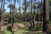 bosque_liencres_001