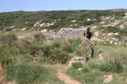 bosque_liencres_020