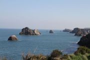 bosque_liencres_071