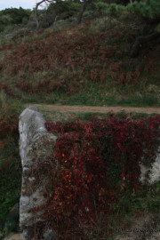 2016_10_necora_paseos_004