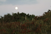 2016_10_necora_paseos_008