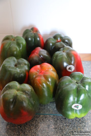 2017_09_pimiento_isla_038