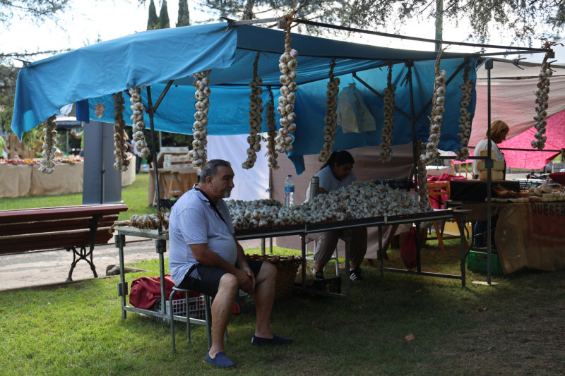 2025_08_feria_topmate_torre_014