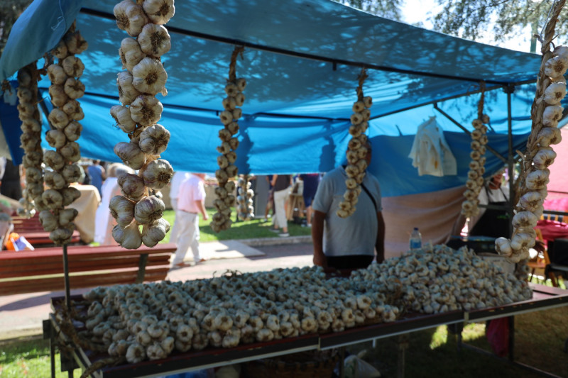 2025_08_feria_topmate_torre_057