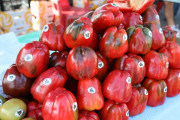 2018_09_pimiento_feria_045