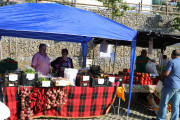 2018_09_pimiento_feria_046