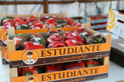 2018_09_pimiento_feria_047