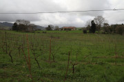 2018_08_carmina_1280_026