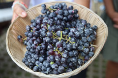 2023_11_feriapimineto_020