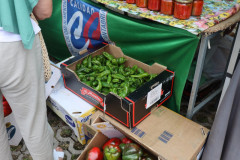 2023_11_feriapimineto_076