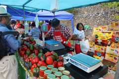 2023_11_feriapimineto_077