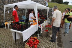 2023_11_feriapimineto_087