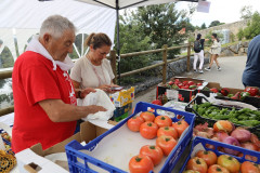 2023_11_feriapimineto_133