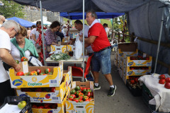 2023_11_feriapimineto_134