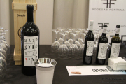 cantabria_vinos_2015_008