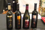cantabria_vinos_2015_043