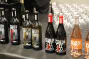 cantabria_vinos_2015_050