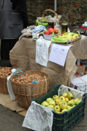 2016_09_casar_099