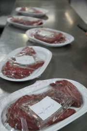 2019_08_toro_sabroso_018_mulecarajonero