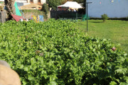 2018_10_feria_alubia_2018_133