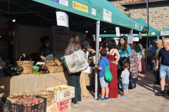2023_11_mercado_vp_096